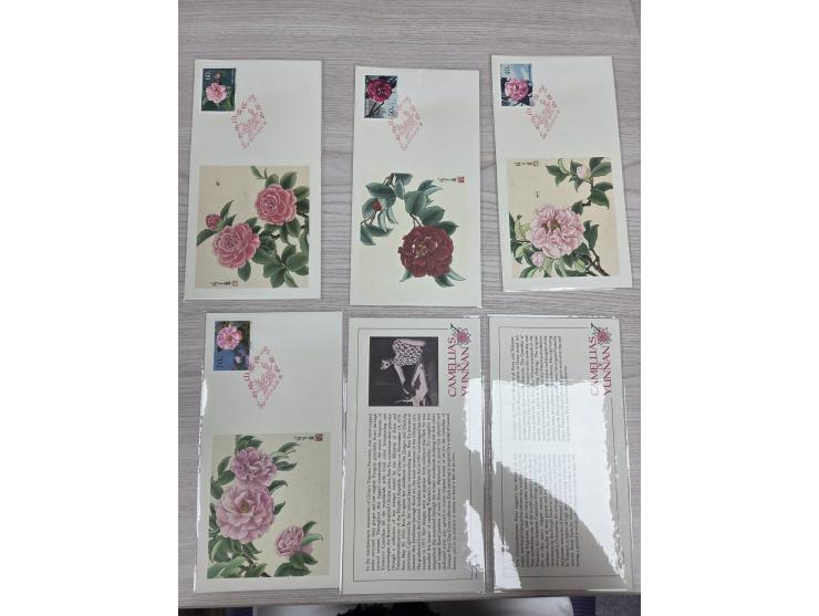 including T82 Maximum Cards, T40 FDCs, T38 FDCs, J59 FDC and many others. Large quantity. Please view.